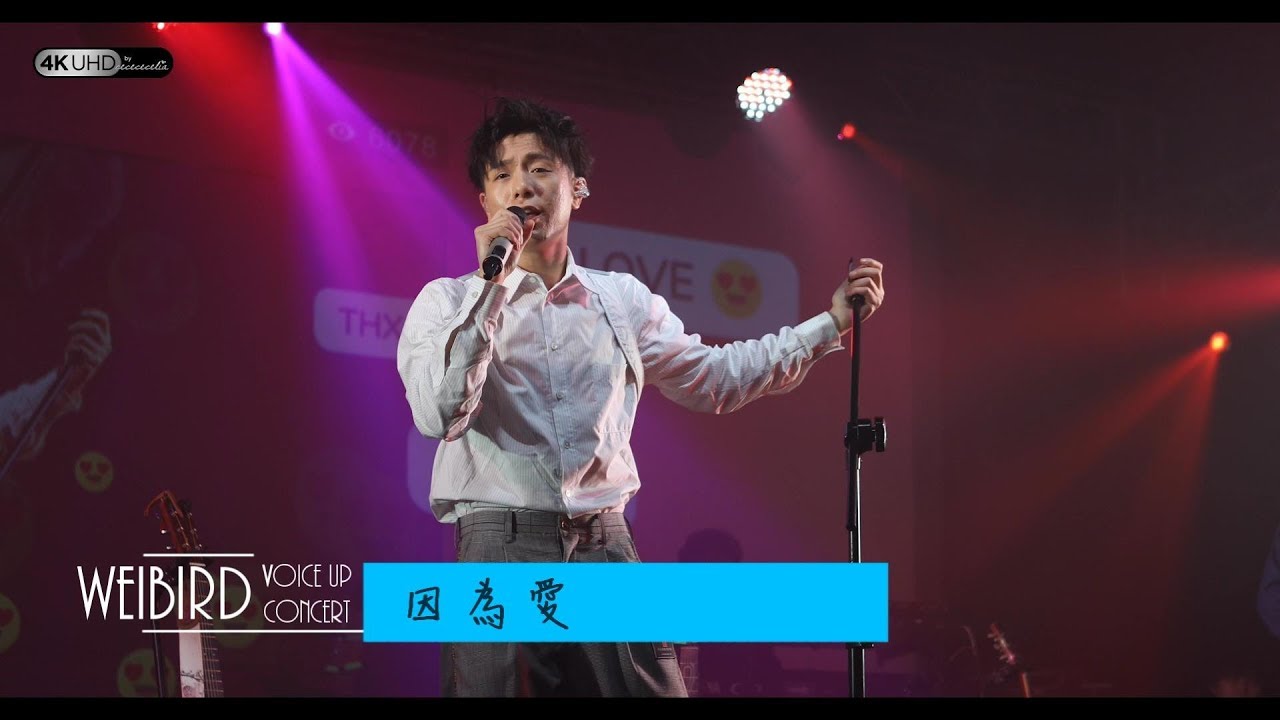 《因為愛》韋禮安 (字幕附歌詞/4K/2160p) 【2019 Voice Up Concert 讚聲演唱會】20190622