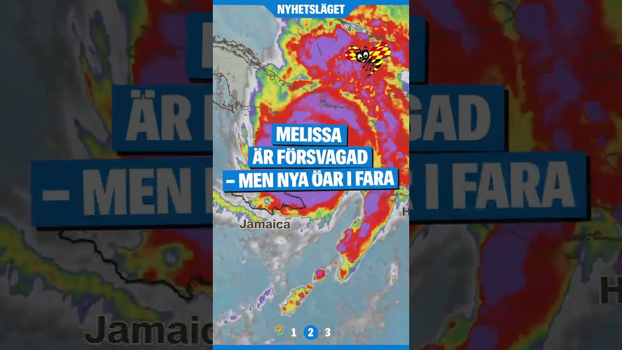 Nyhetsl&auml;get &ndash;&nbsp;29 oktober
