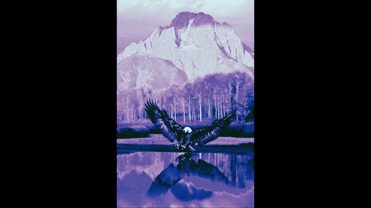 Cuntgrinder - Coffin Born