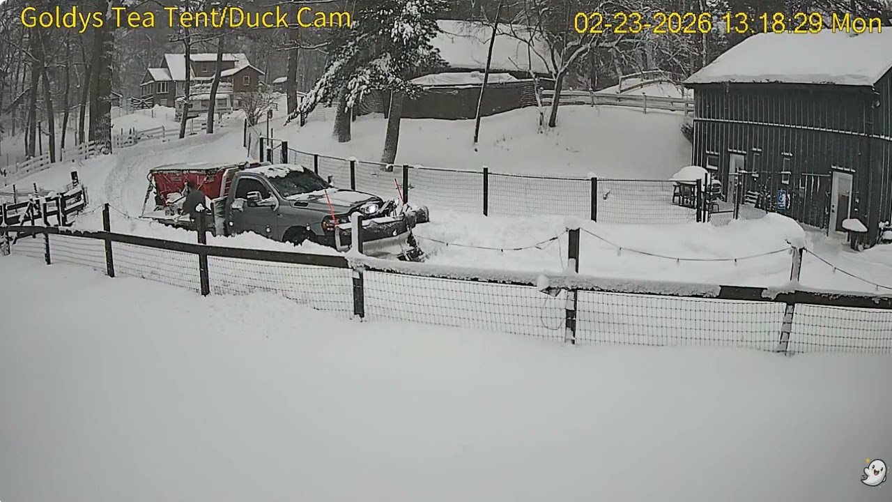 Goldy's Tea Tent 107pm not sure who snow plow stuck finally he gets it unstuck 2232026