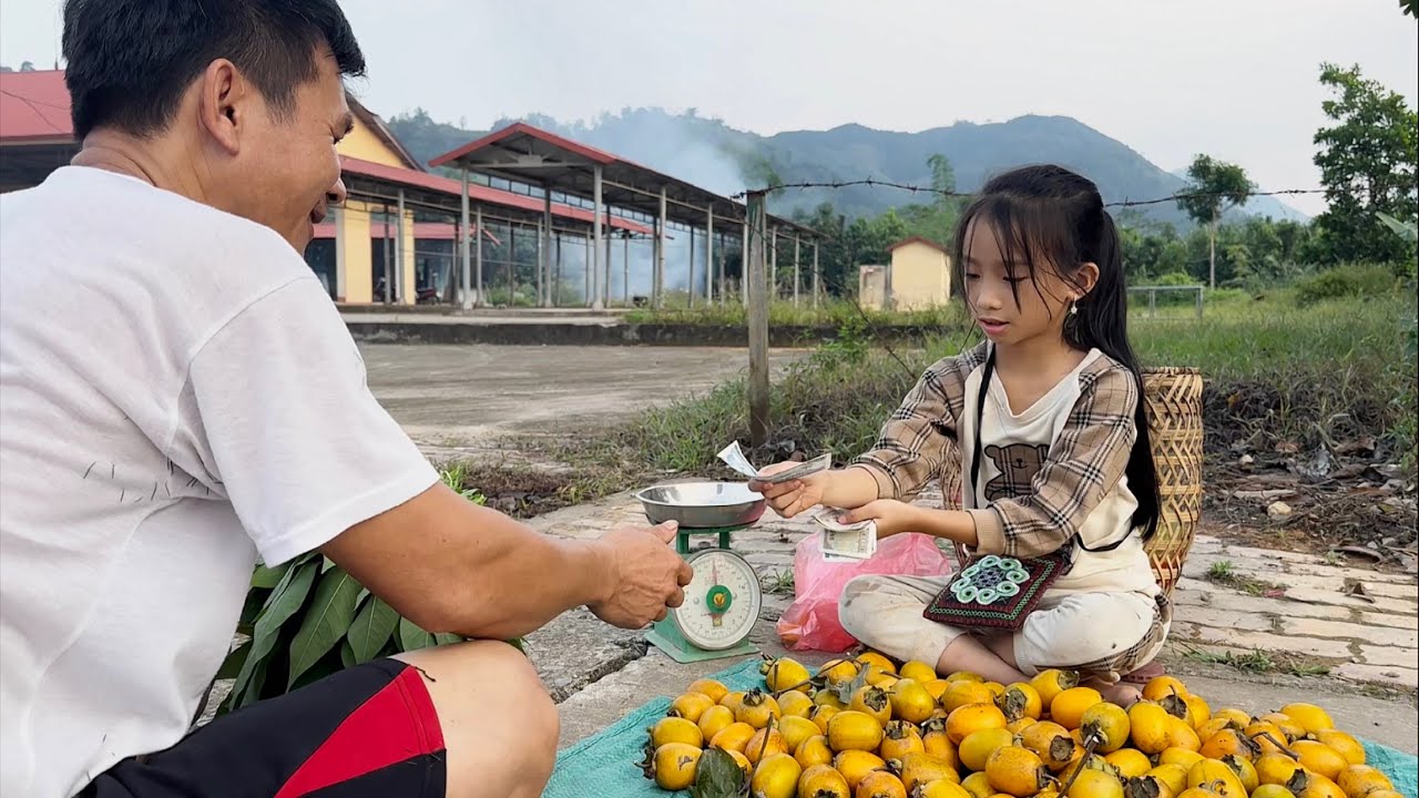Poor girl harvests persimmons to sell. Enjoy canned meat and pickled eggplant