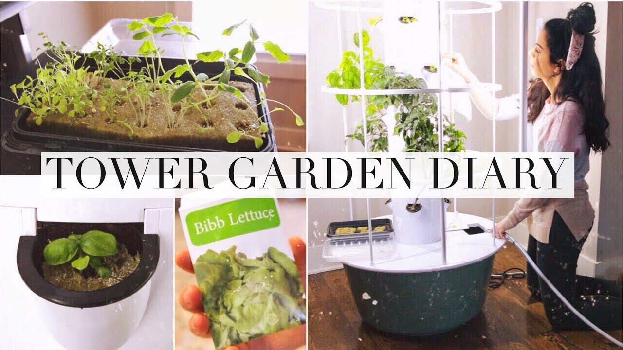 My Indoor Tower Garden Diary!