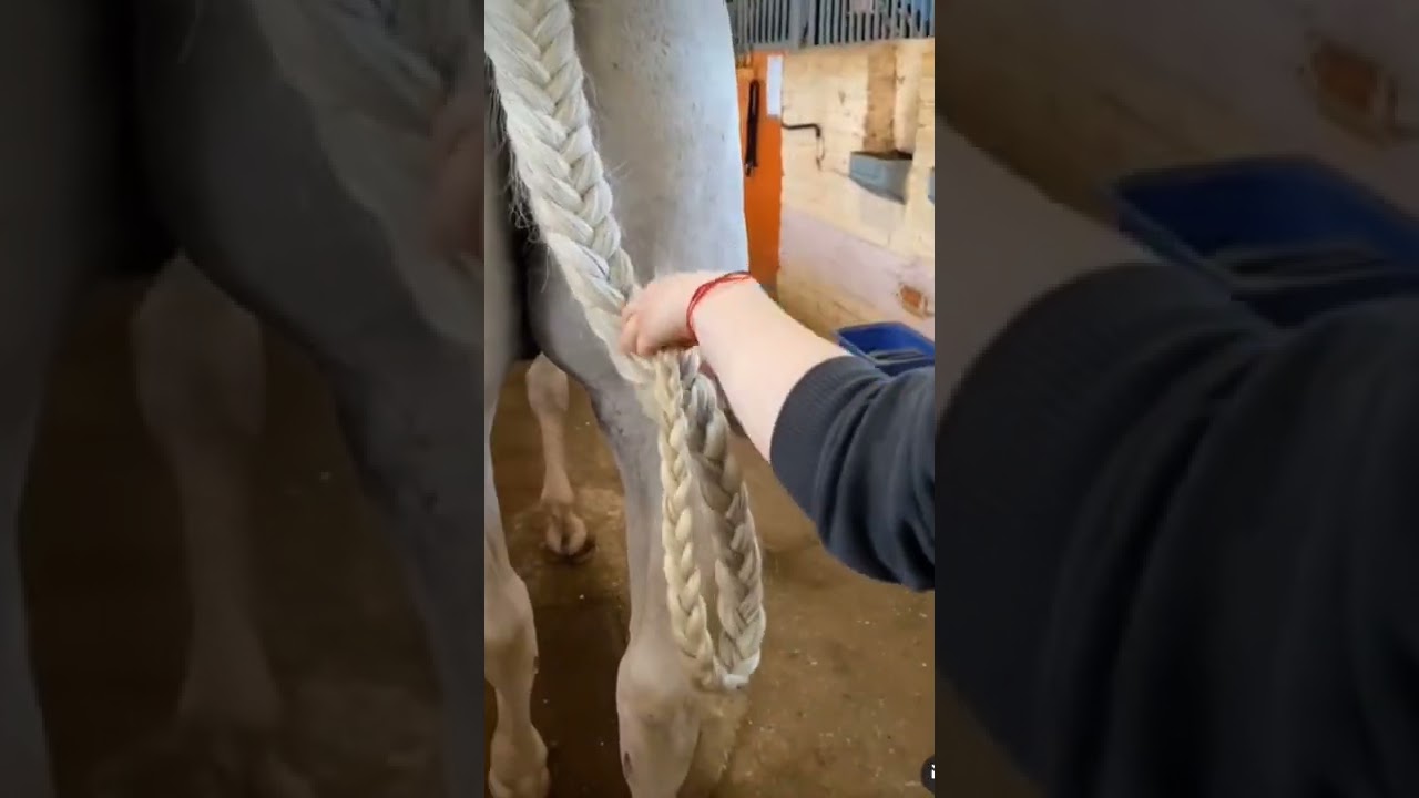 HORSE TAIL BRAIDING PART 1 😍🐎🎀 