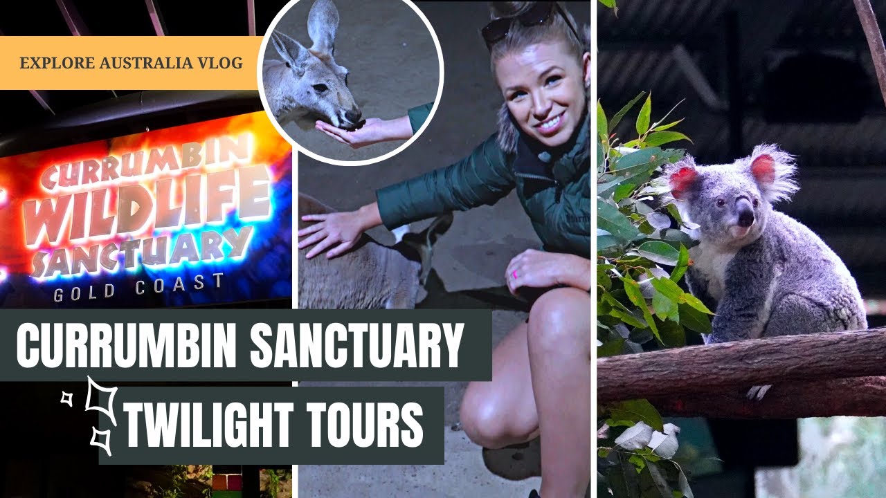 Twilight Tour at Currumbin Wildlife Sanctuary  | Episode 41