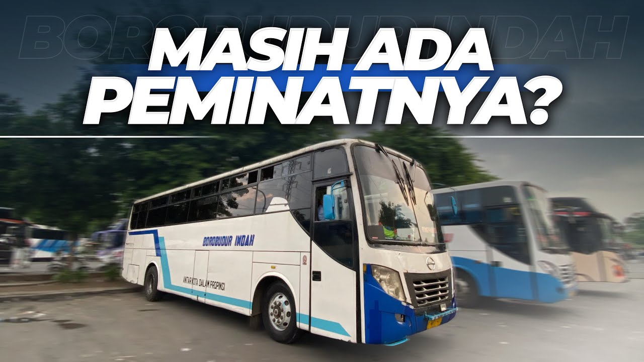 PANTESAN AJA PEMINATNYA MASIH BANYAK, TERNYATA..⁉️ Trip Naik Bus Borobudur Indah Surabaya - Jember