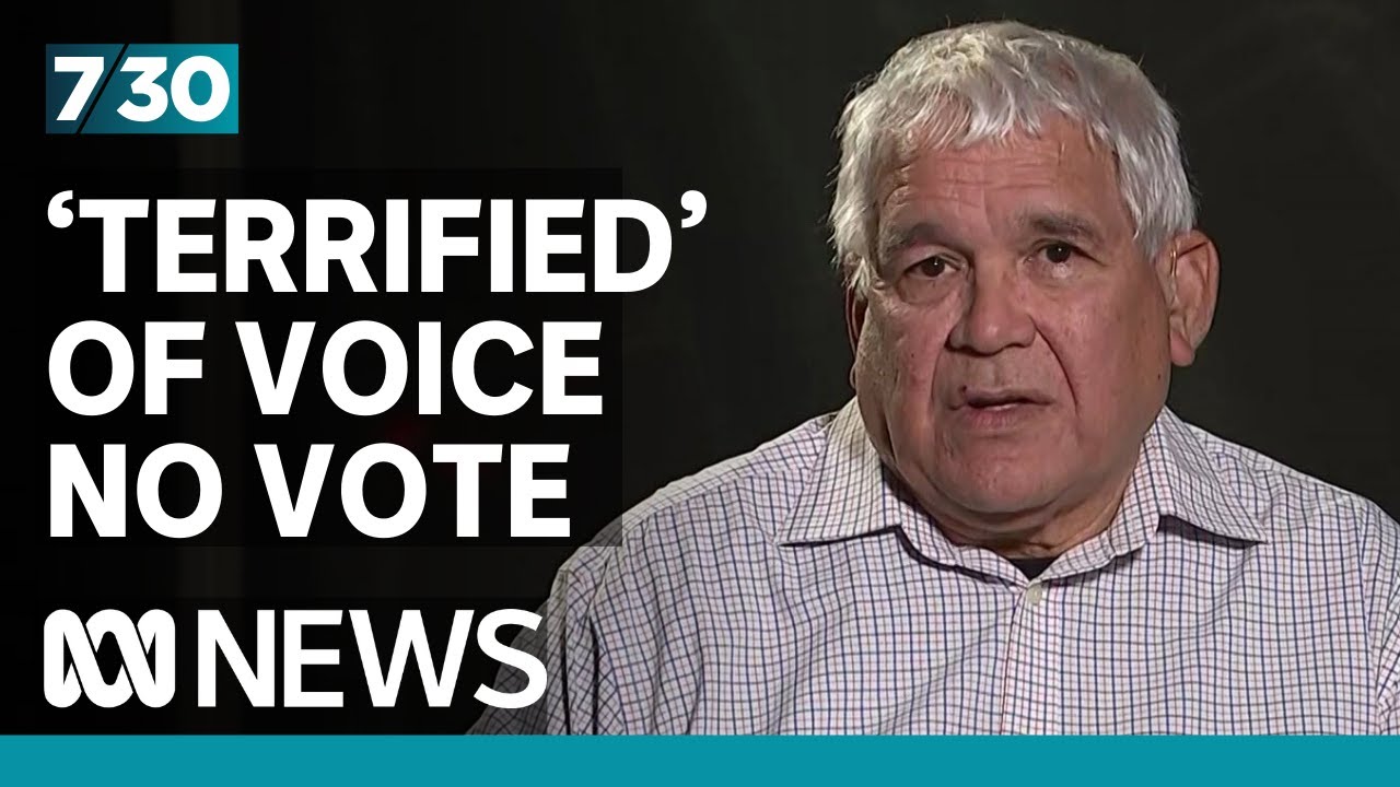 Australia would be seen as 'new South Africa' if Indigenous Voice vote fails, says Mick Gooda | 7.30