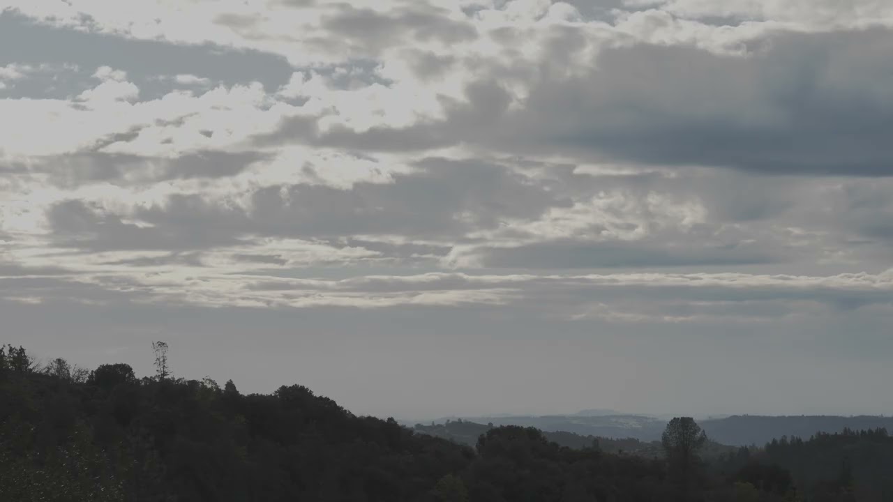 The call