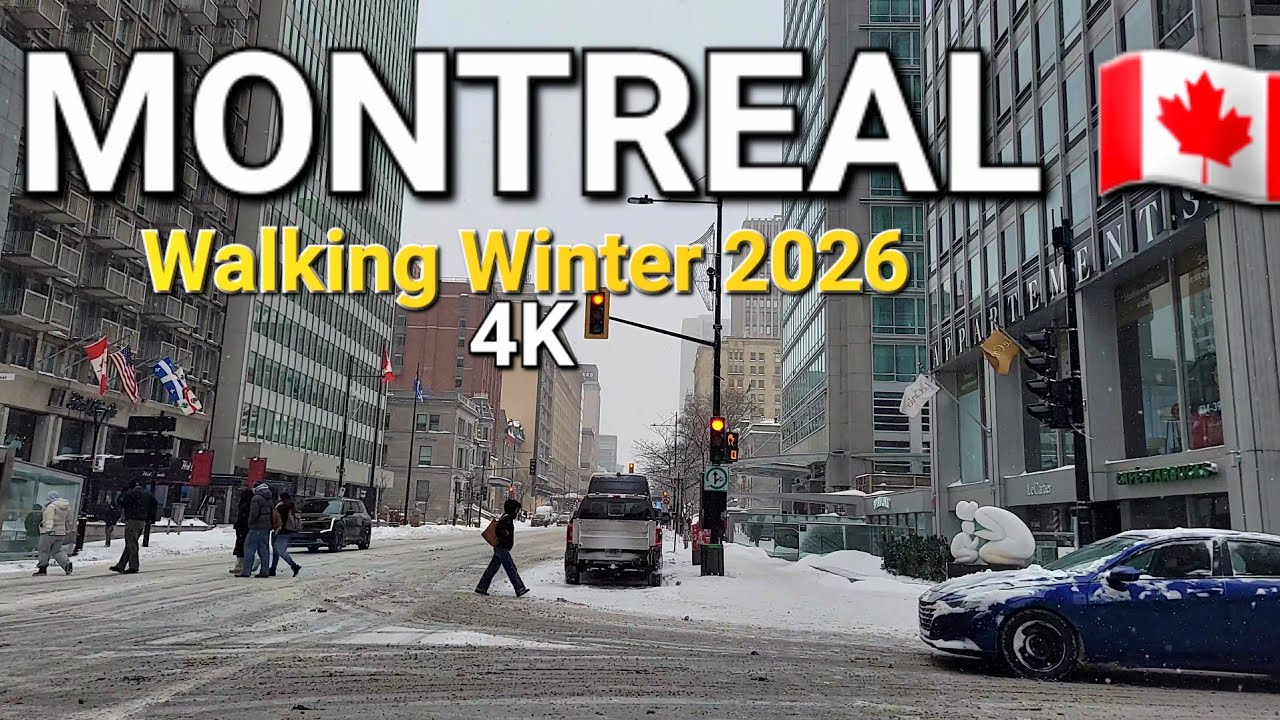 4K Walking Montreal Downtown | Light Snowfall Currently & City Ambient in the Streets 