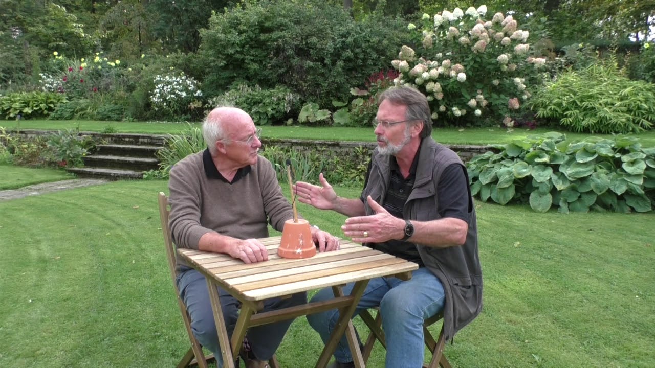 De verdiepte tuin van De Wiersse