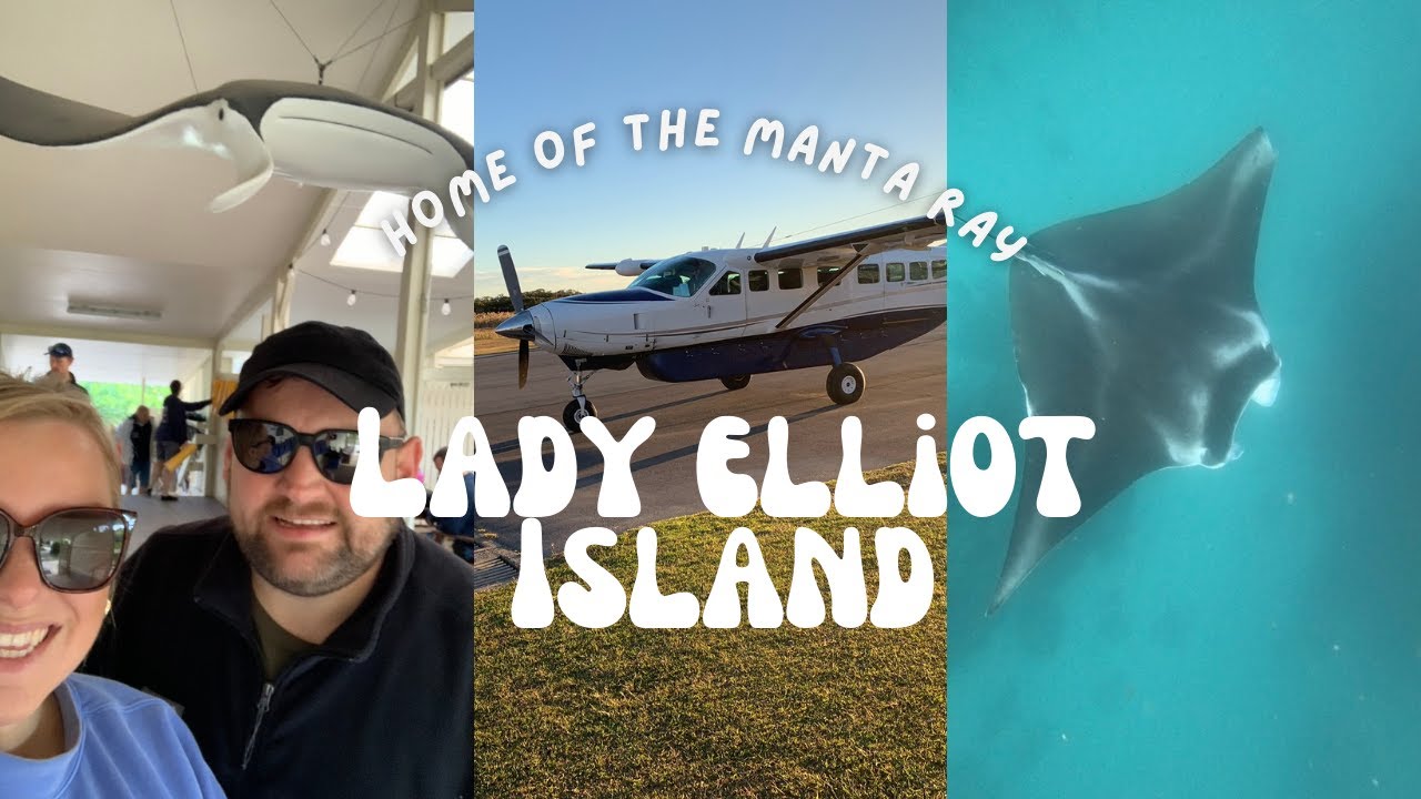 Lady Elliot Island | Swimming with MANTA RAYS