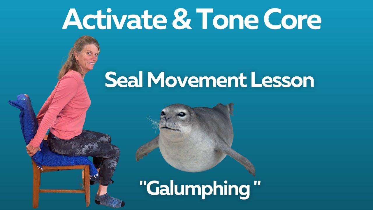 Seated Core Exercise for Back Flexibility- Seal Movement
