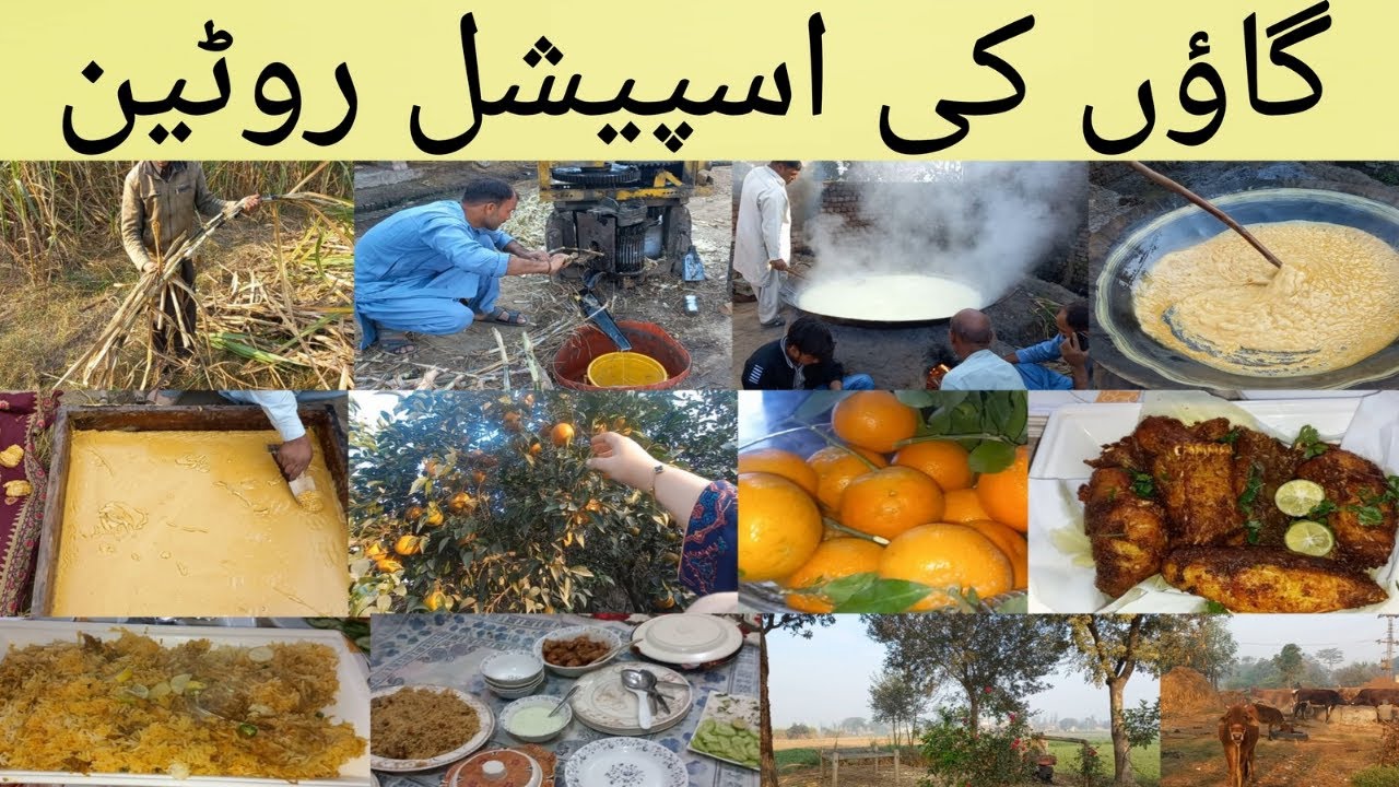 My Village Vlog Narowal || khanum vlogs