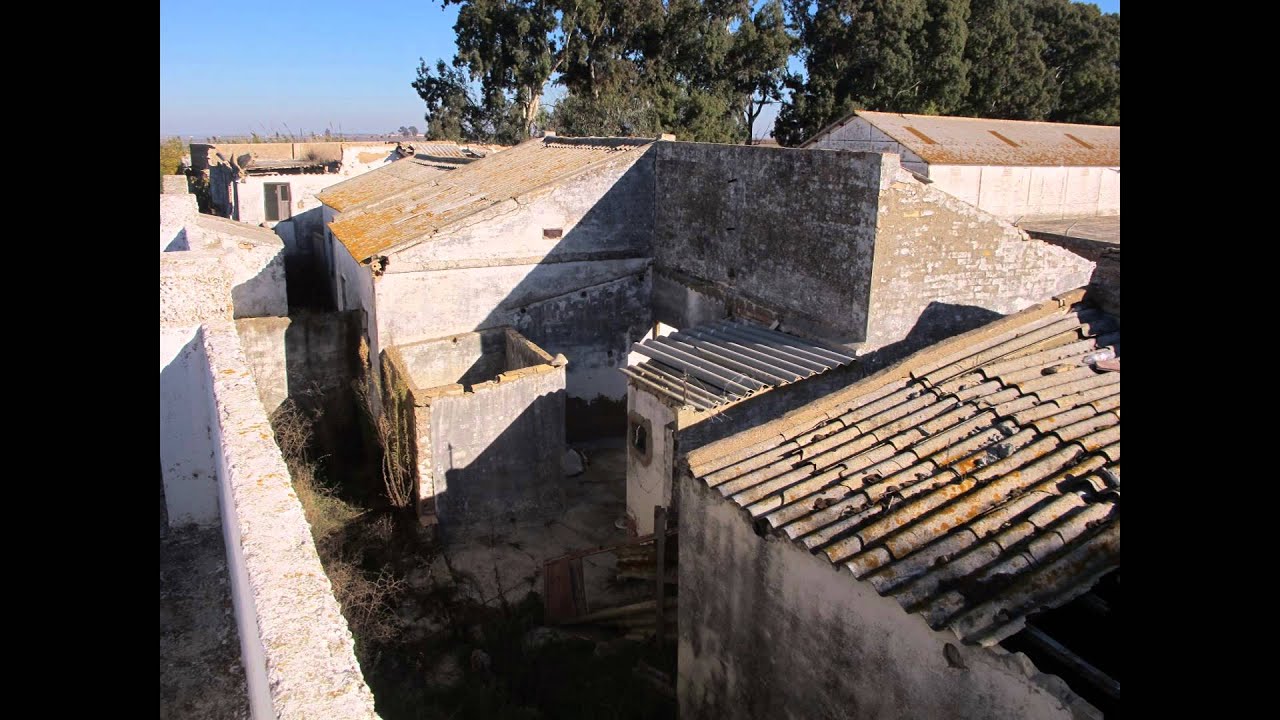 Retorno a Isla Mayor