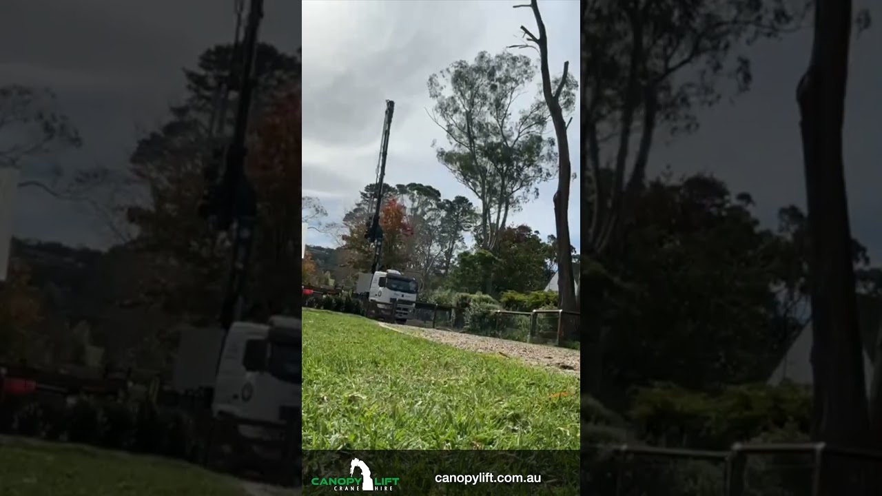 Residential Property Tree Removal with Knuckle Boom Crane Time Lapse
