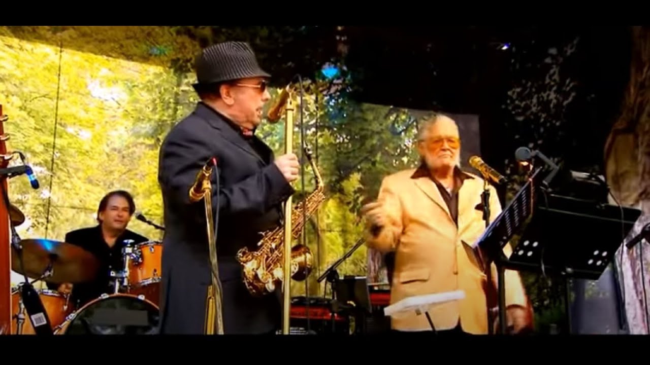 P J PROBY  &  VAN MORRISON - LIVE -  WHATEVER HAPPENED TO P J PROBY - BBC