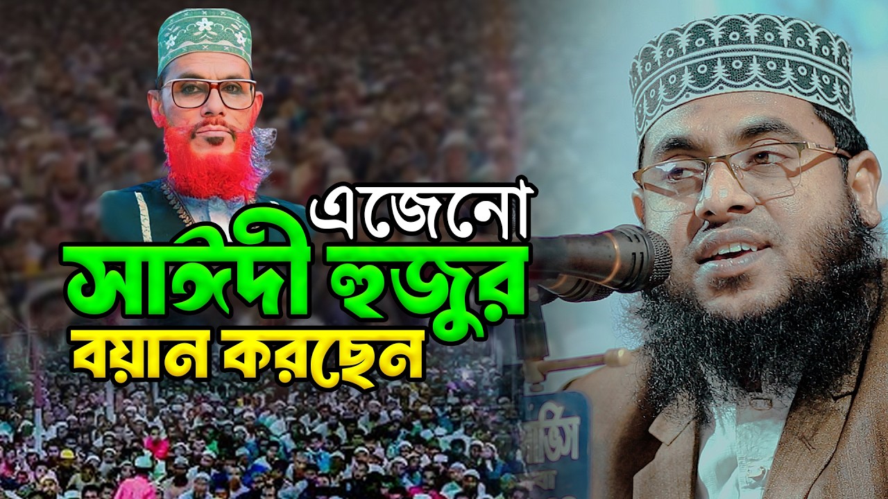 এজেনো সাঈদী হুজুর বয়ান করছেন | মাওলানা মোস্তাফিজুর রহমান