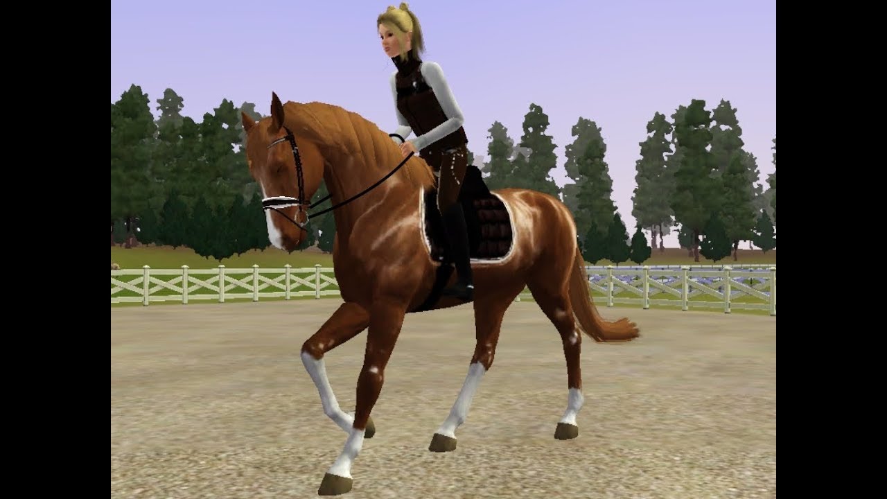 Unser neues Gestüt, Gestüt Gut Brandenau 2019 | sims 3 horses