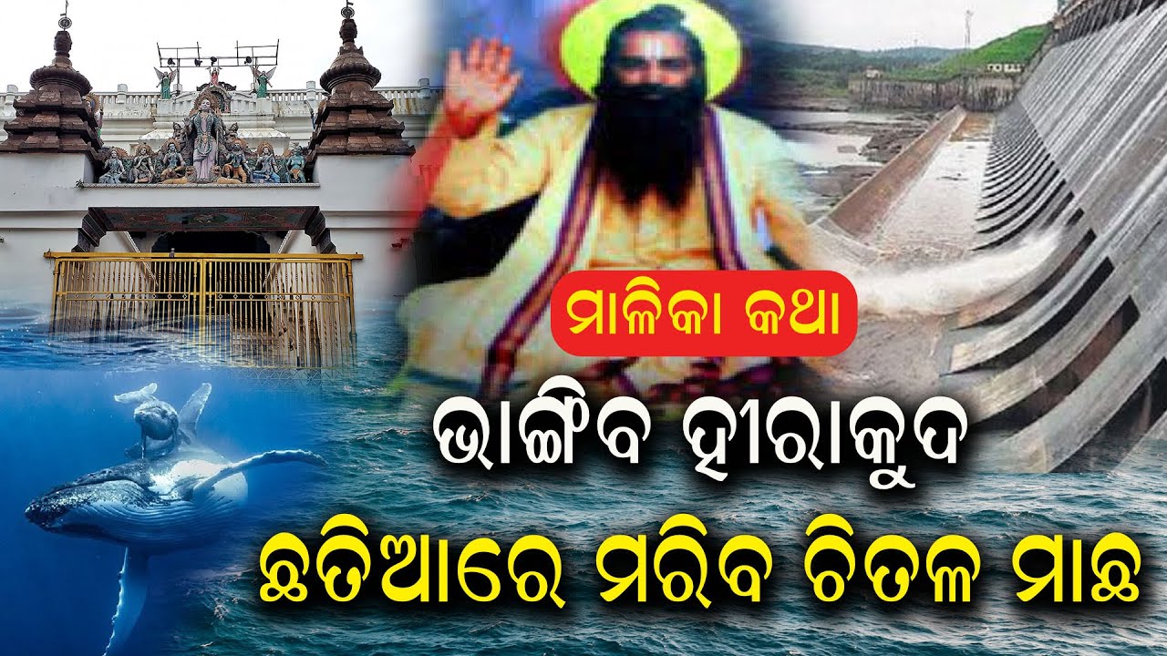 ଭୟଙ୍କର ମାଳିକା କଥା । ଚିତଳ ମାଛ ଅସ୍ଥିରେ ତିଆରି ହେବ ହୀରାକୁଦ ବନ୍ଧ । #kalingatodaylive #kalingatoday