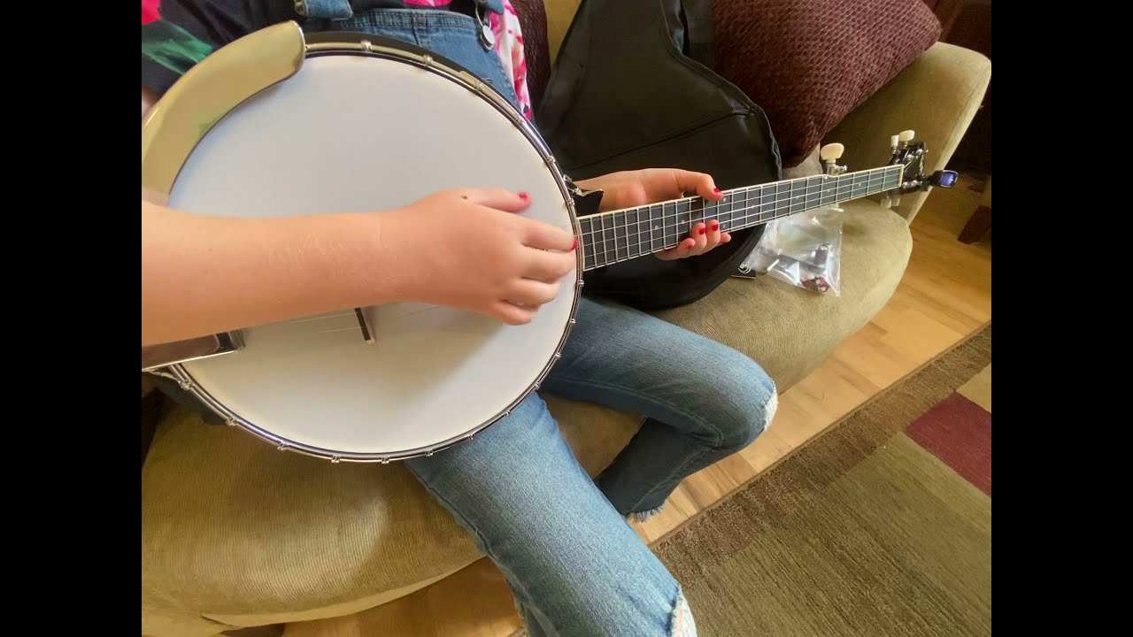 Pyle PBJ140 Banjo Kit
