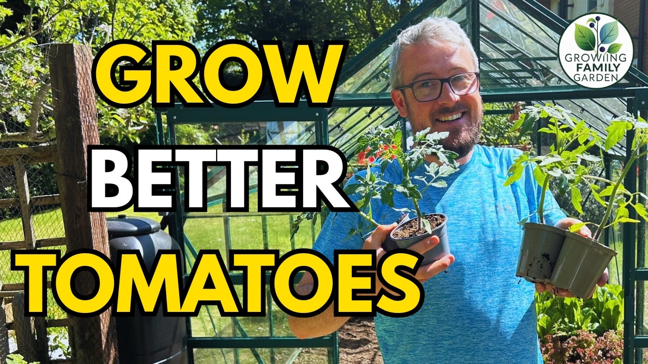 How to Grow Tomatoes in the Greenhouse | May Gardening Tips