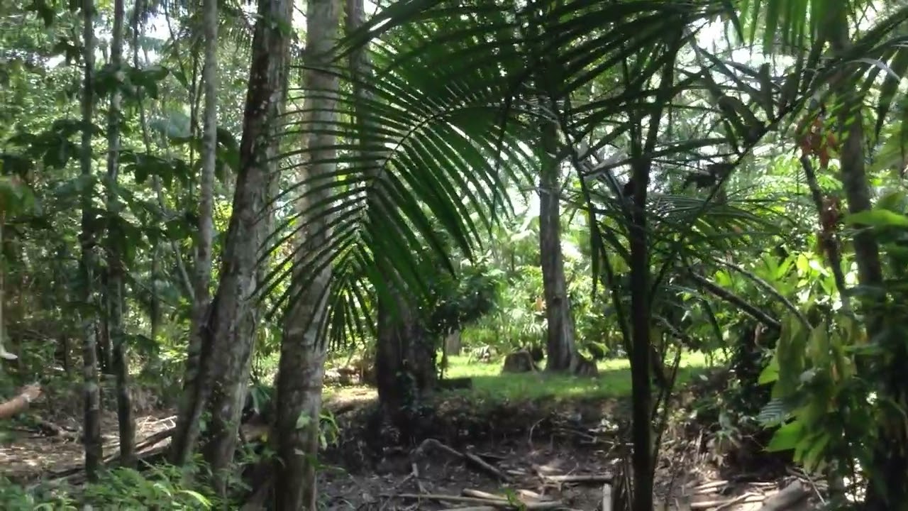 IMG 0655