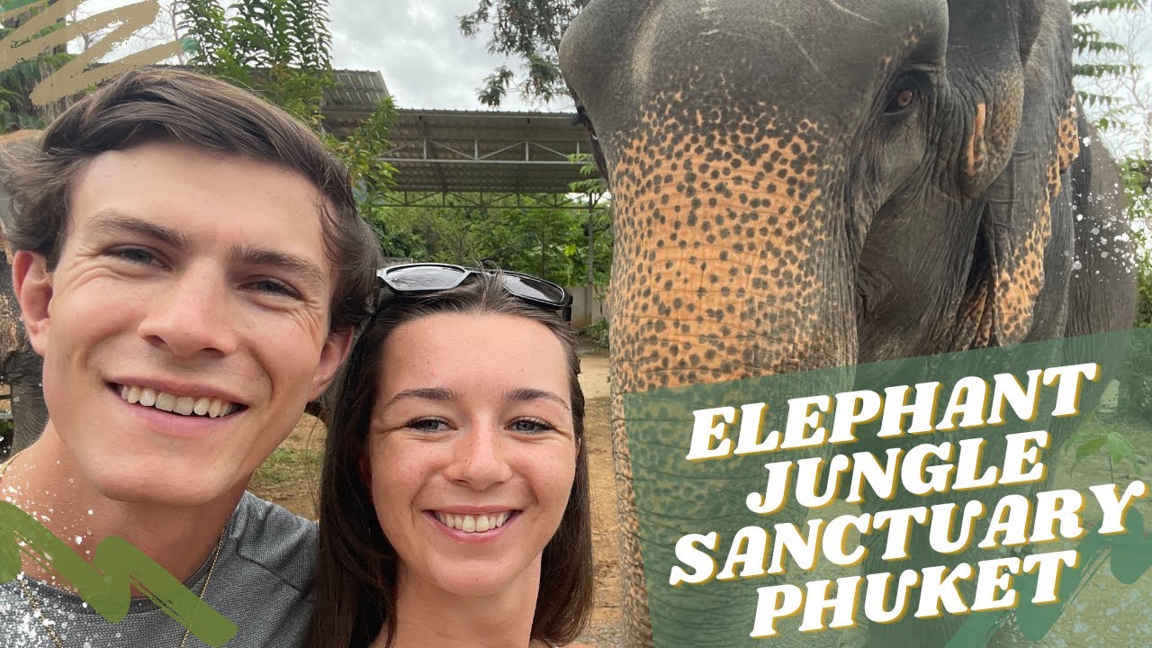 Elephant Jungle Sanctuary Phuket NOVEMBER 2021!!
