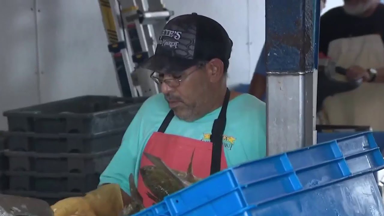 New tariffs could boost Gulf Coast seafood industry, as lawmakers push for sustainable aquaculture