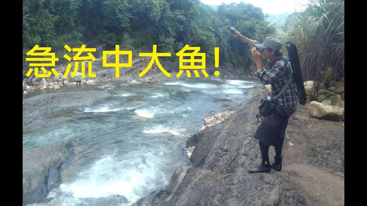 【Doggy Fishing】捲仔之旅  急流中大魚! 阿台能起魚嗎? (何氏棘魞 Spinibarbus hollandi)