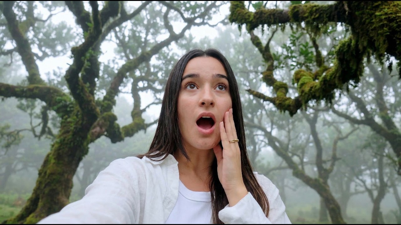 ESSA É A FLORESTA ENCANTADA DA ILHA DA MADEIRA