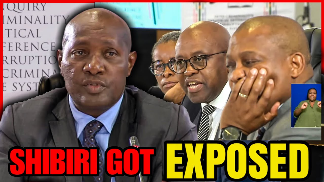 Here’s What You Missed From Madlanga Commission Today | SHIBIRI UNDER FIRE