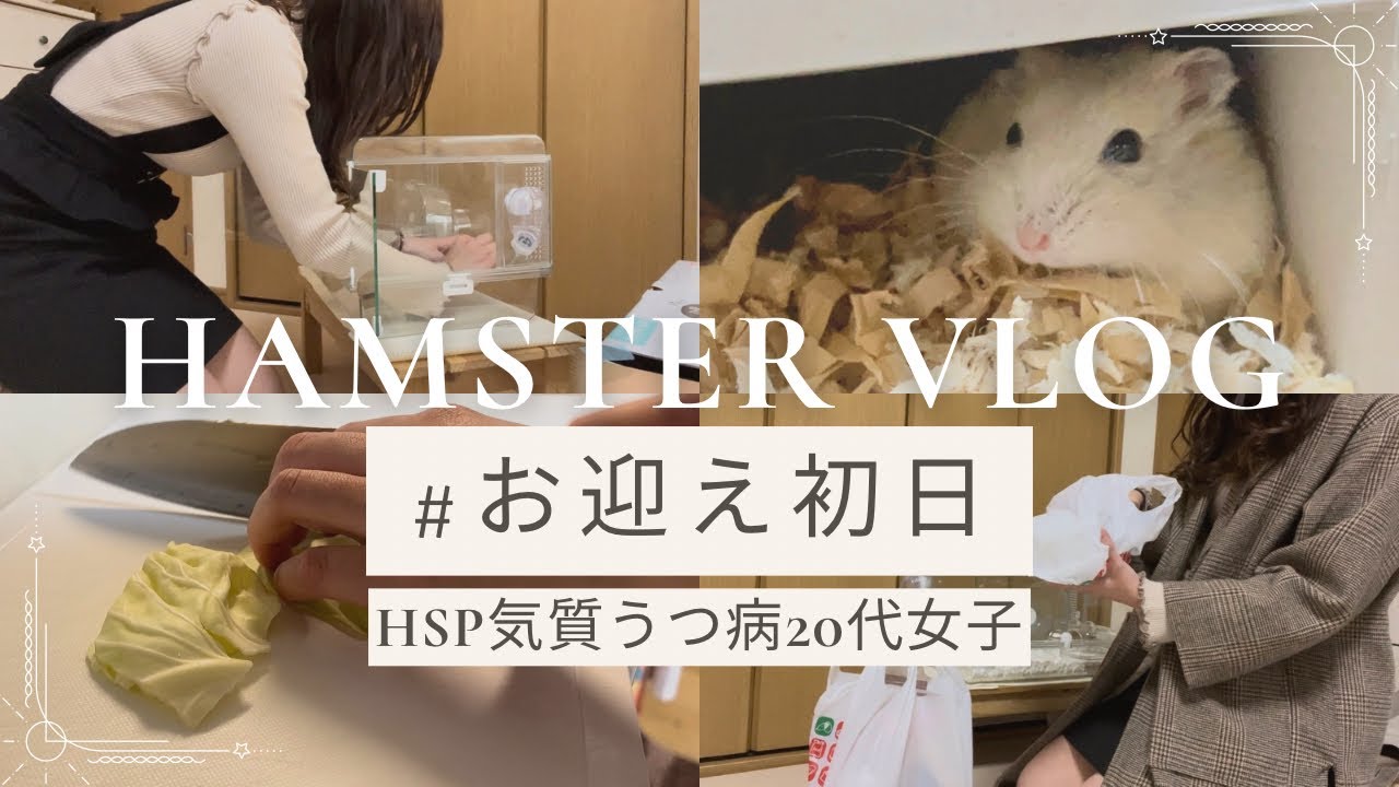 【お迎え初日ハムスターvlog】hsp気質うつ病20代女子の部屋にハムスターがやってきた