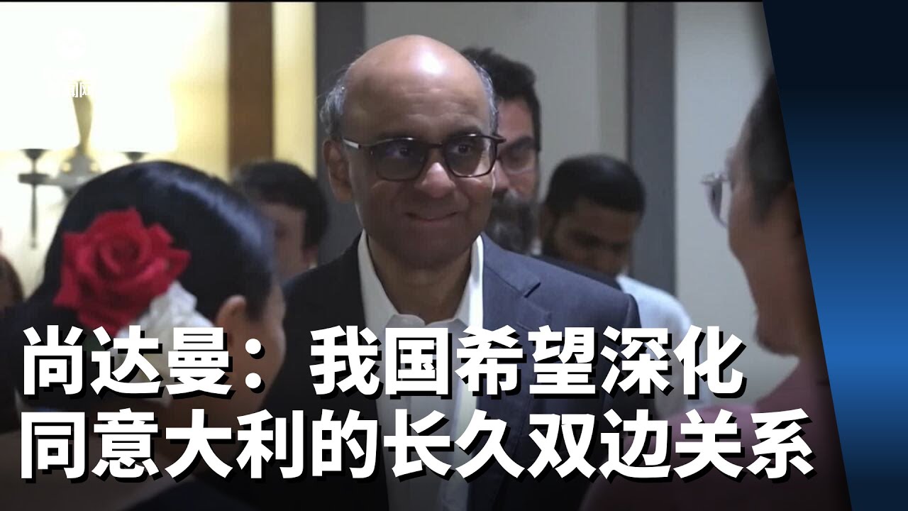尚达曼总统：我国希望深化同意大利的长久双边关系