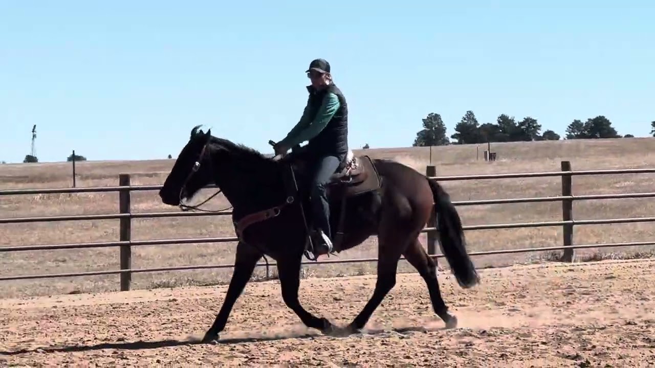 Bobo ride 1 2/28
