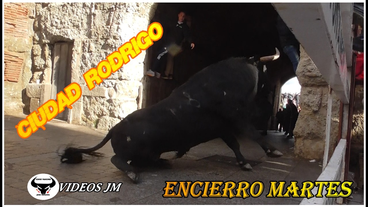 Encierro Martes..Ciudad Rodrigo 2026