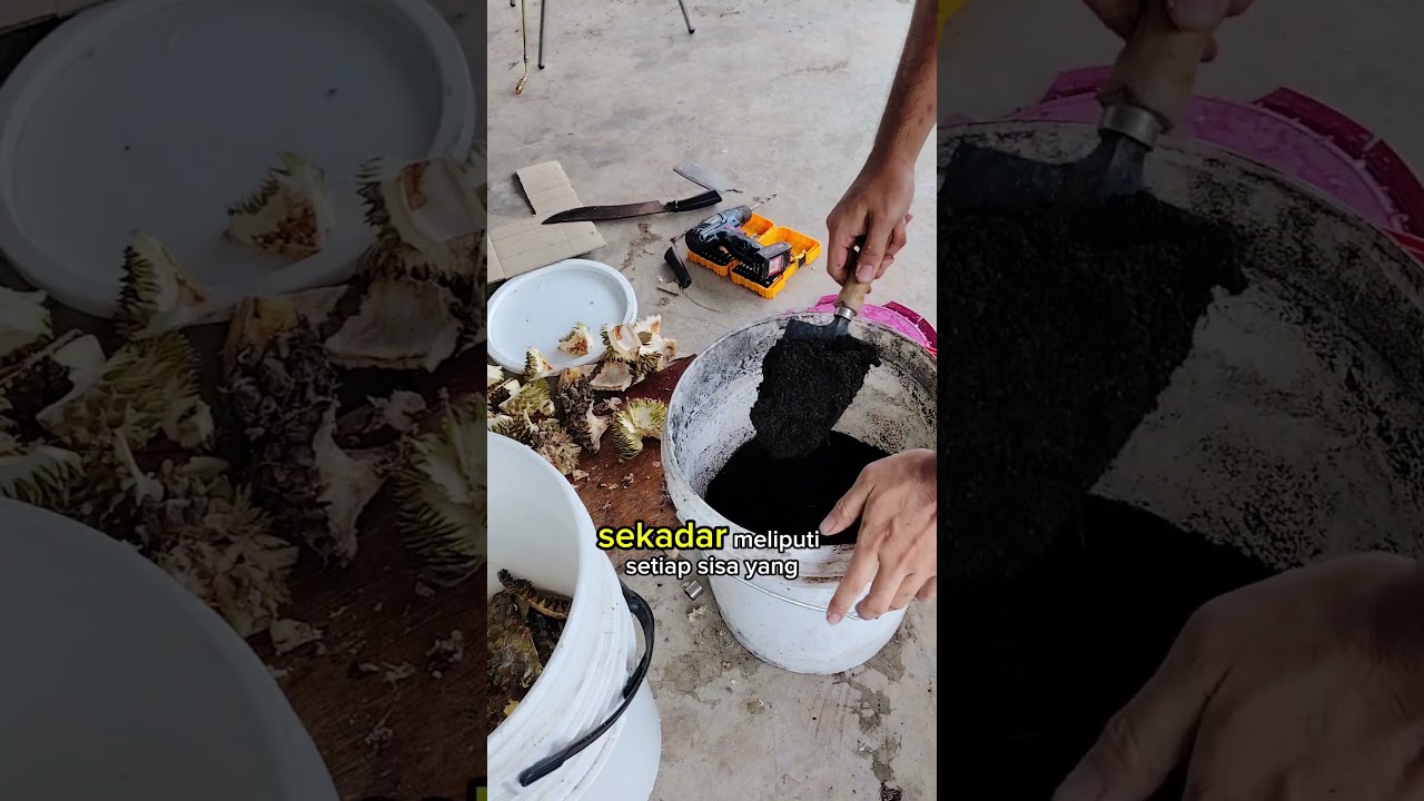 Cara Buat Tong Kompos Bokashi #bokashi #composting #kebunbandar #pupukorganik #bajaorganik