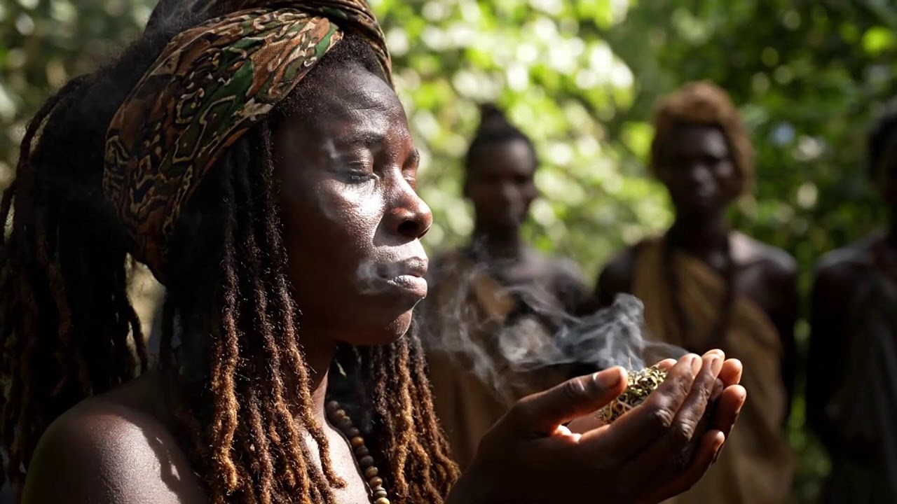 Smoking Roots & Branches | Fire Family Sound & Heritage Tree 🌳