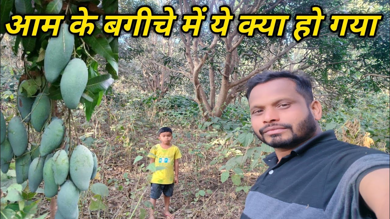 आम के बगीचे में ये क्या हो गया 😯 #villagelife #mangogarden #vlog 