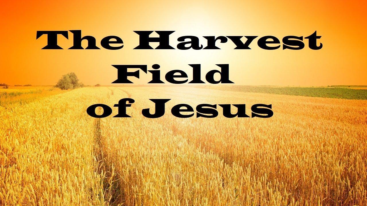 The Harvest Field &ndash; The Teachings of Jesus &ndash; Christian Devotional