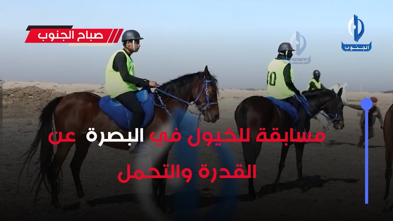 #صباح_الجنوب || مسابقة للخيول في البصرة  عن القدرة والتحمل
