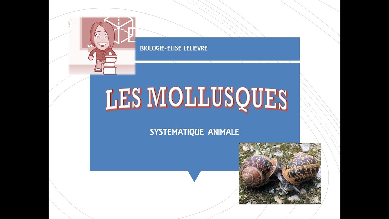 Mollusques