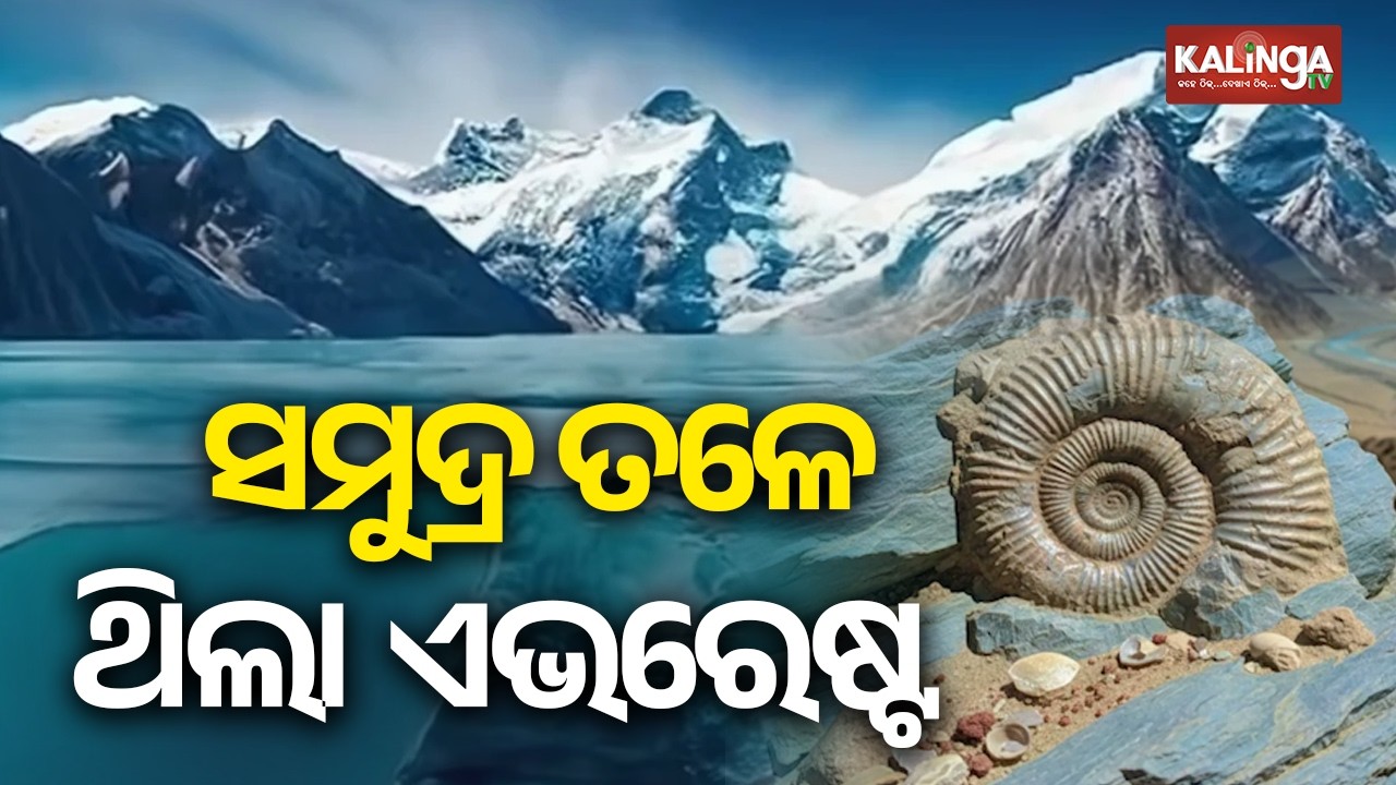 Scientists Discover Sea Fossils on Everest, Pointing to 500-Million-Year-Old Ocean | Kalinga TV