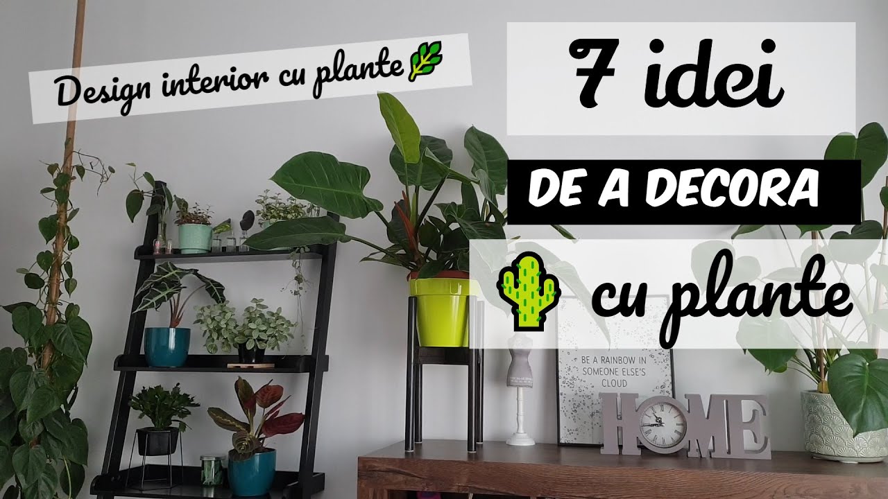 💚 Cum sa decorezi cu plante de apartament? 🌴 7 idei de decor interior cu plante