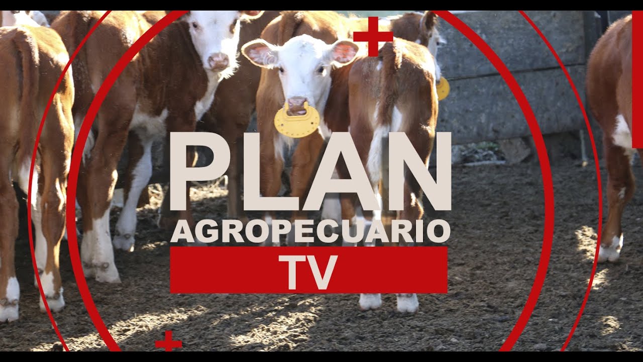 Programa del Plan Agropecuario del 26 de enero de 2026