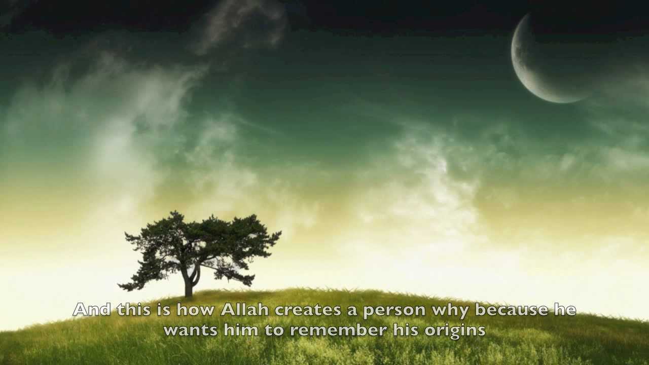 The Reality of A Man | HD | All Truth Revealed