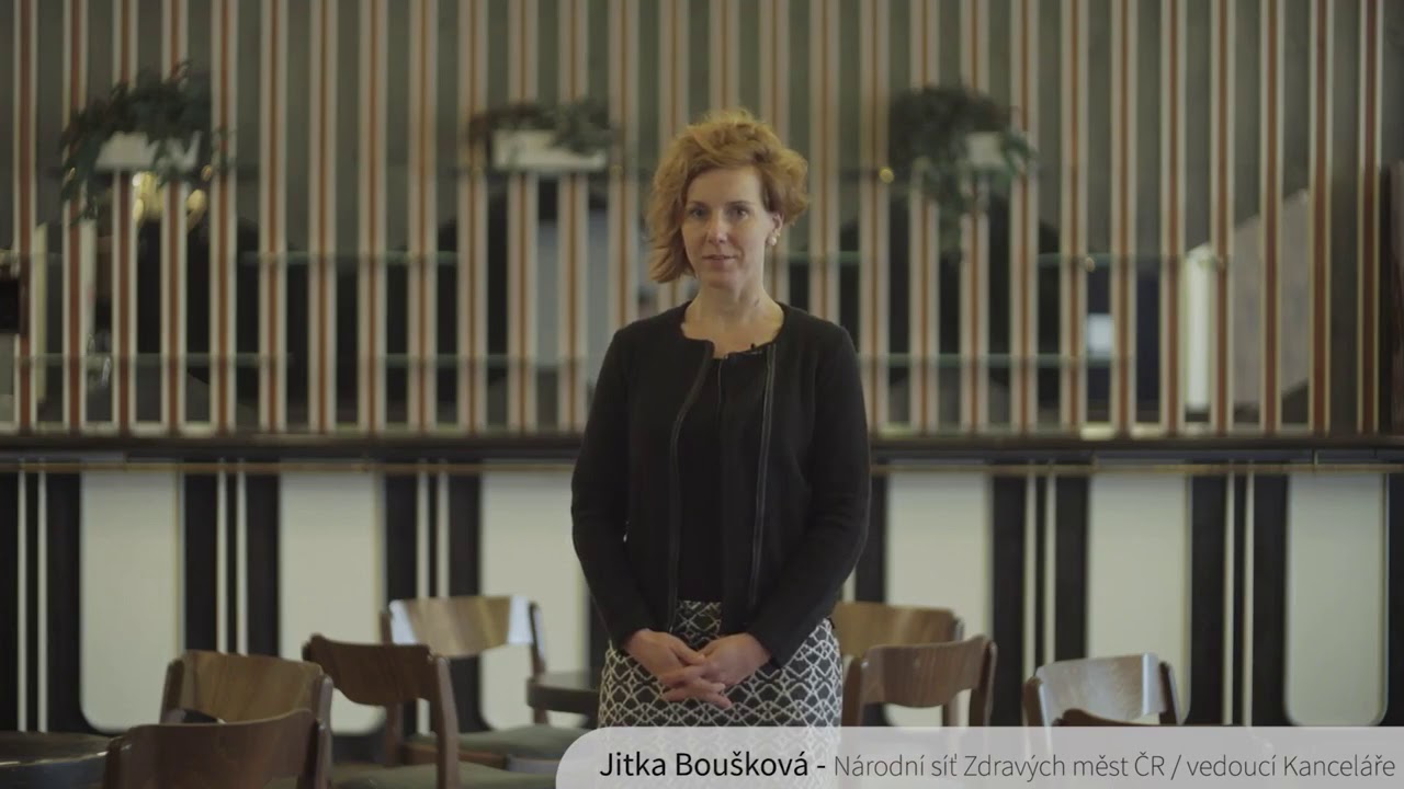 NSZM ČR Zdrav&eacute; město je