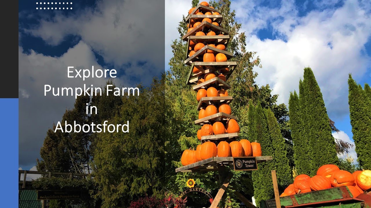 Explore Pumpkin Farm in Abbotsford | British Columbia, Canada