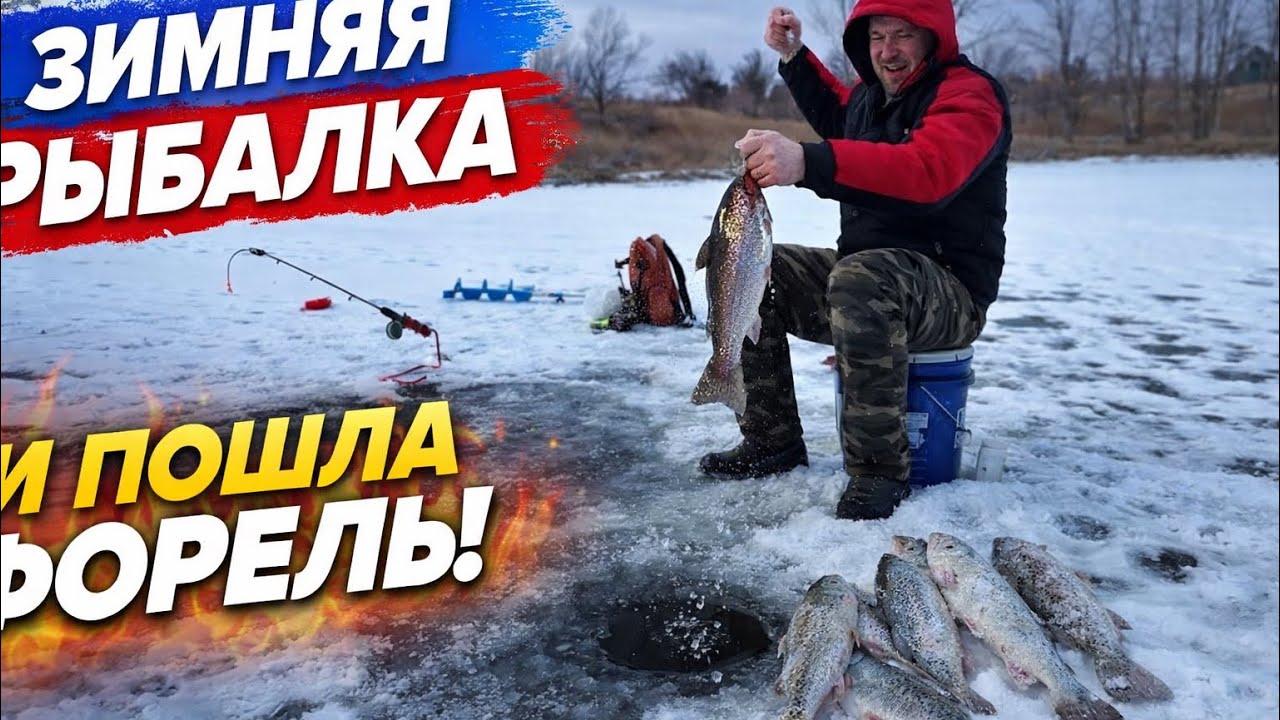 Присел 😉НА ВЕДРО и 🎣ПОШЛА ФОРЕЛЬ еще и за палец УКУСИЛА!