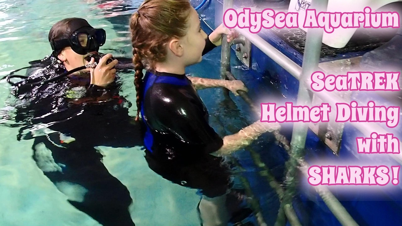 We dived with sharks! OdySea Aquarium SeaTREK in Scottsdale, Arizona. #viral #fyp #family #pov
