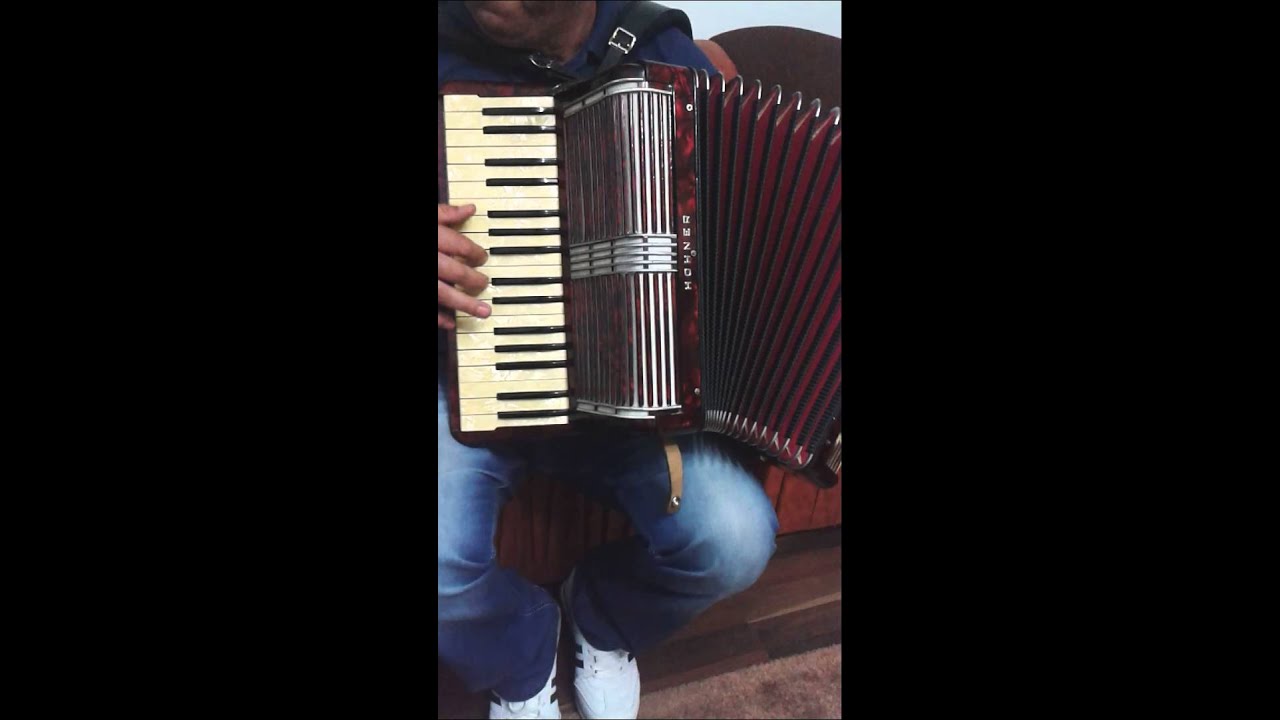 VAND ACORDEON HOHNER VERDI II !