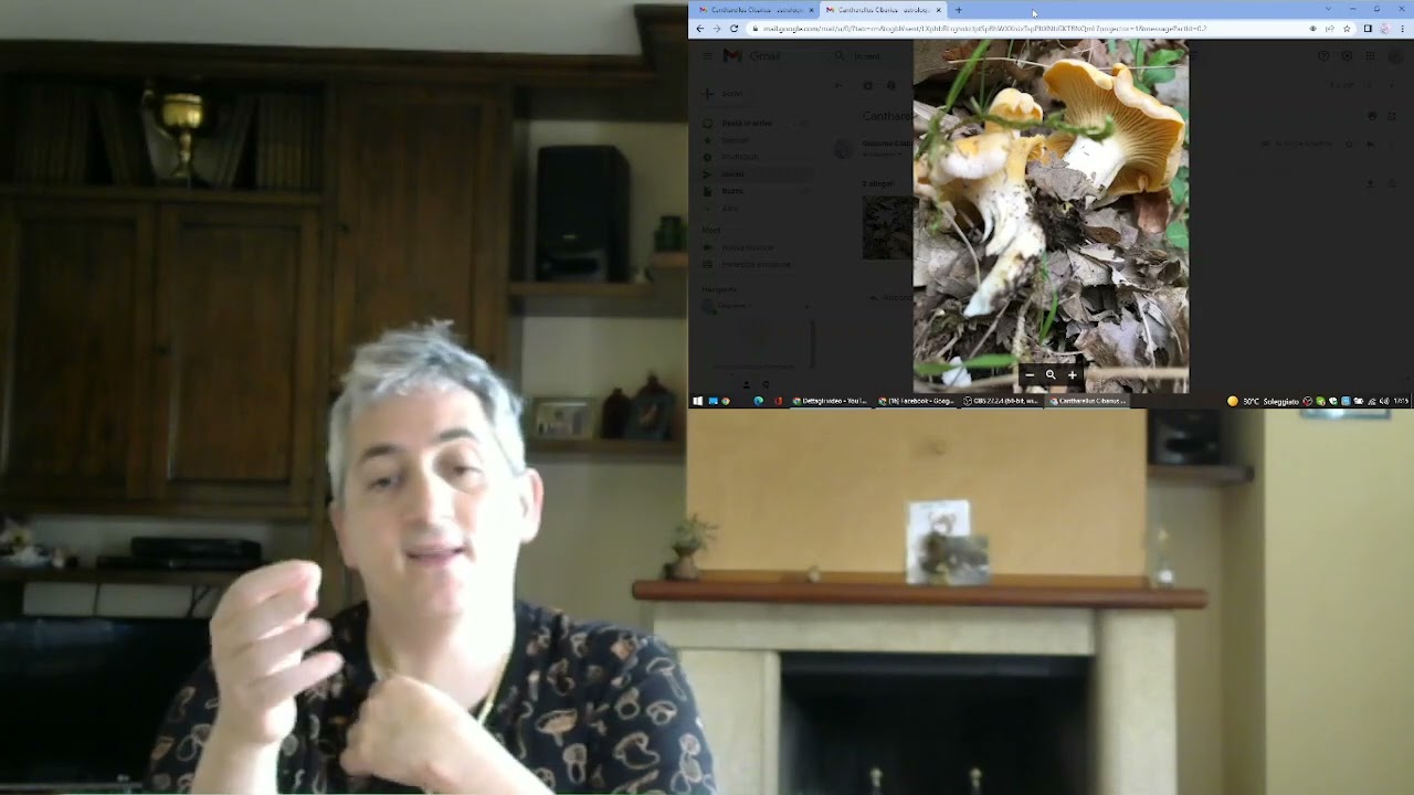 Cantharellus cibarius - conoscere i funghi - Pillole di Micologia con Giacomo Ciabatti Isp. Micologo